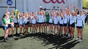 Image result for St Peter`s Gaa