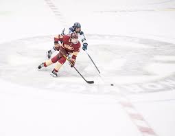 Image result for Norwich City Roller Hockey Club