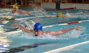 Image result for Kingsbridge Kingfishers Swimming Club