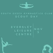 Image result for South Essex Gymnastics Club