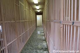 Image result for Meridian Racing Pigeon Lofts