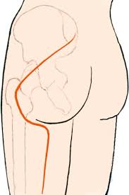 Attēlu rezultāti vaicājumam “Cribraria piriformis young”