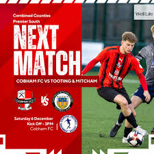 Image result for Cobham Sports Association Ltd