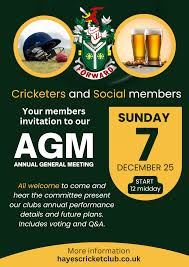 Image result for High Easter Cricket Club