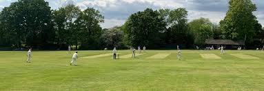 Image result for Portsmouth Community Cricket Club