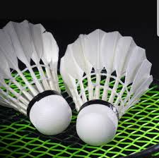 Image result for Blackford Castletown Badminton Club