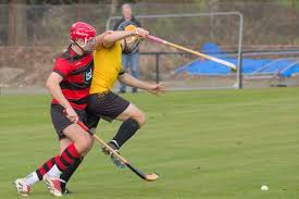 Image result for Skye Camanachd