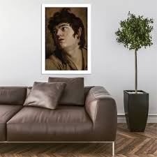 Attēlu rezultāti vaicājumam “Collaria rubens young”