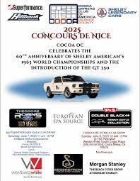 Image result for Irvine Flyers Club