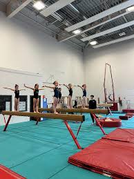 Image result for West Lothian Artistic Gymnastic Club