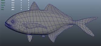 Image result for Caranx crysos