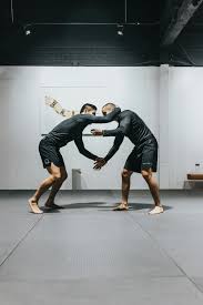 Image result for New Path Martial Arts Academy