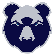 Image result for Sherborne Rugby Football Club