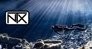 Image result for Notanx Freedive Club