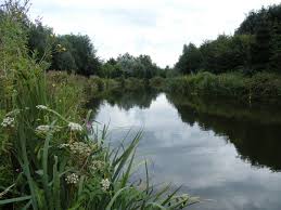 Image result for Bay Malton Angling Club