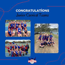 Image result for Falcons Netball Club