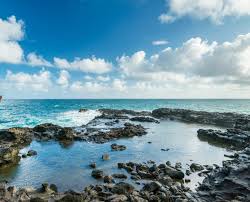 「VHAPUNI　MAO」の画像検索結果