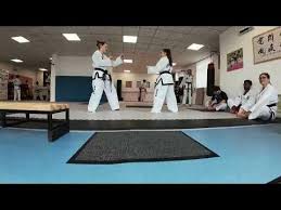 Image result for Wirral UKTA Taekwon-do