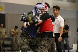 Image result for COMBAT TAEKWONDO
