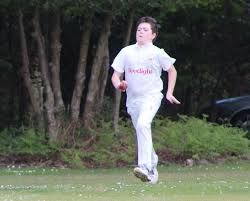 Image result for Redlynch and Hale Cricket Club