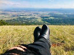 「Mt. Tamborine」的圖片搜尋結果