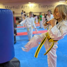 Image result for Martial Arts University Charlotte