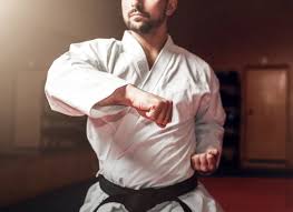 Image result for Norfolk Karate