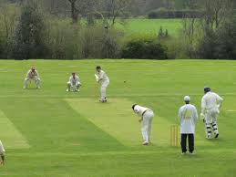 Image result for Frensham Cricket Club