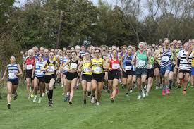 Image result for Annadale Striders Ac