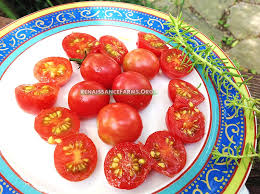 Afbeeldingsresultaat voor rose quartz tomato