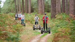 Image result for Go Ape! Whinlatter
