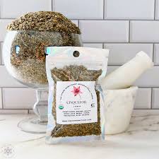 Attēlu rezultāti vaicājumam “Potentilla erecta fruit”