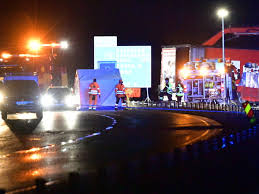 Image result for Muhammad als Rondellhund