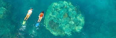 Image result for Wyndley NSC Snorkelling Club
