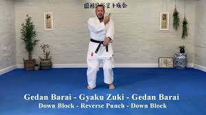 Image result for Reading Karate-Do Shotokai