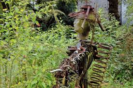 Image result for Priona Tuinen