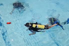 Image result for Stortford Divers
