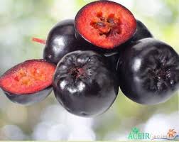 Attēlu rezultāti vaicājumam “Empetrum nigrum fruit”