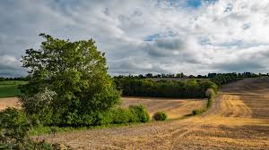 Image result for West Wycombe Cricket Club