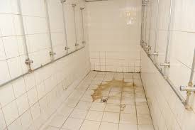 Image result for Eltham Town Football Club Ltd