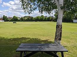 Image result for Nazeing Common Cricket Club