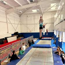 Image result for Treasure Gymnastics