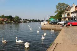 Image result for Walton On Thames Angling