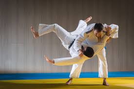 Image result for A BRITISH JUJITSU RYU in Lancing