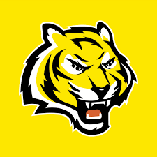 Image result for Torquay Cricket Club