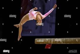 Image result for Hinckley Gymnastics Club