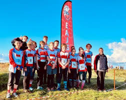 Image result for Essex Stragglers