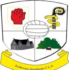 Image result for Sarsfield Gfc