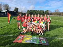 Image result for St Bronagh`s Gaa