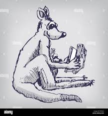 Image result for Reading Kangaroos